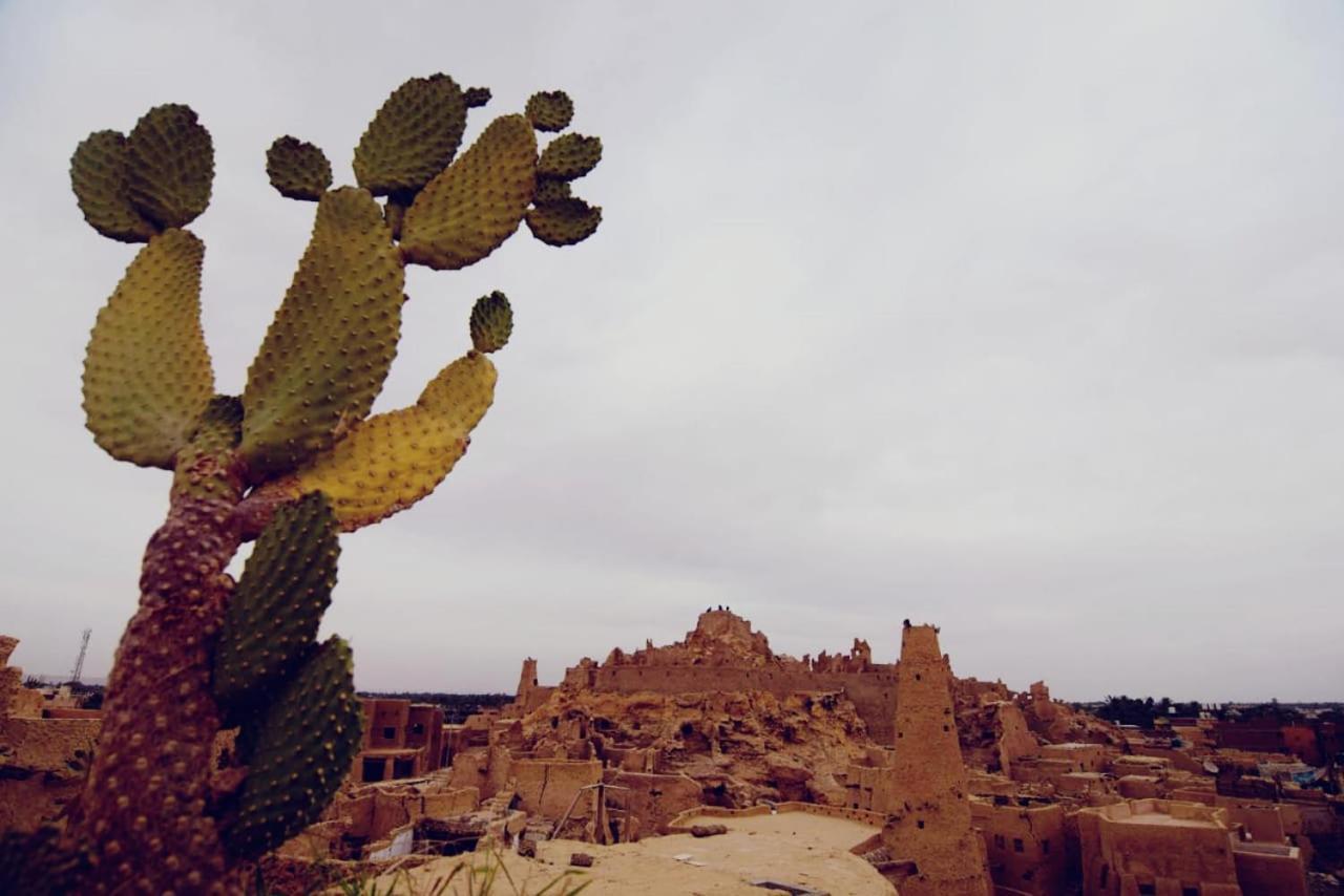 Apartamento Nainshal Siwa Siwa Oasis Exterior foto